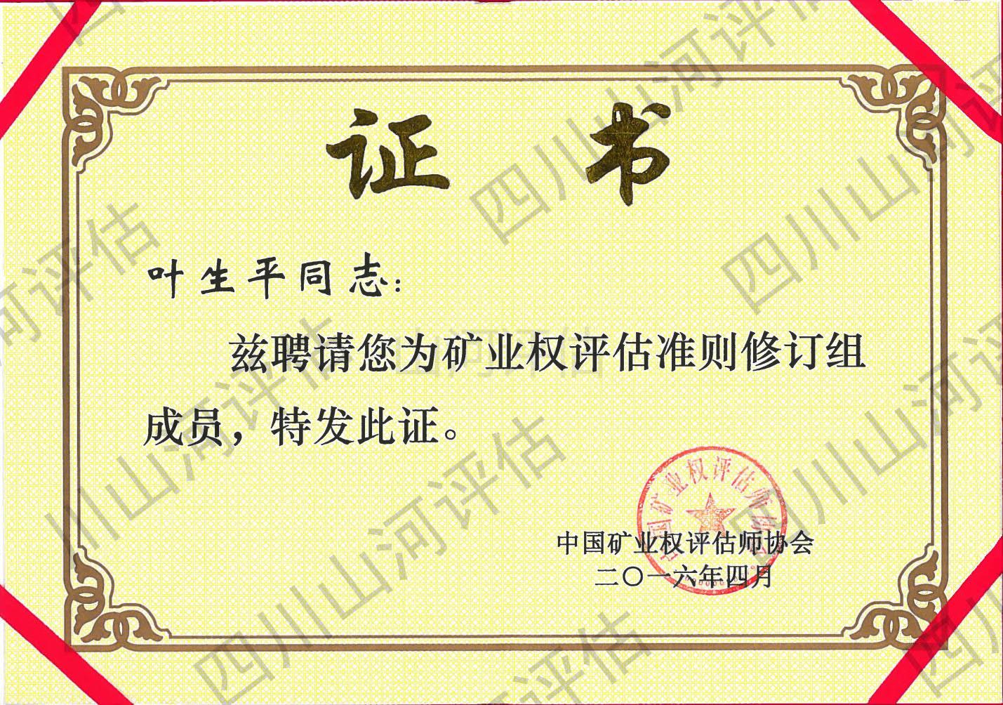 礦業(yè)權評估準則修訂組成員